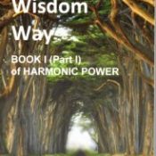 Book - The Wisdom Way by Keith Foster