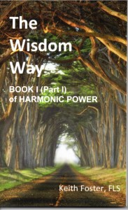 Book - The Wisdom Way by Keith Foster