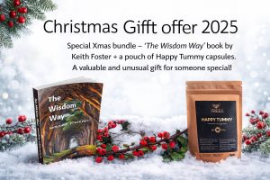 Christmas Gift Offer 2025 Social